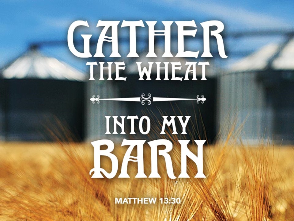 Word for the Week - Sunday, July 19, 2020 Lectionary 16, Year A