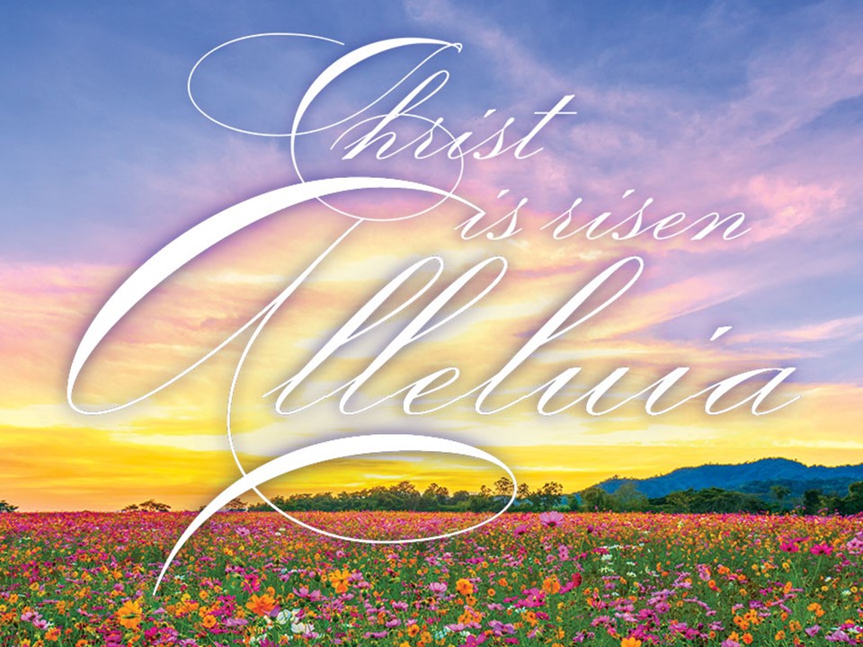 Scripture for July 4, 2021 - 6th Sunday after Pentecost