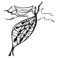 January Happenings