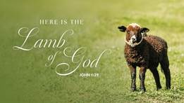 Sunday, January 18th - 2nd Sunday after Epiphany - Schedule and Information