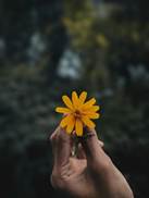 Items for the week of Sunday, January 4th