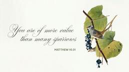 Worship Information & Opportunities